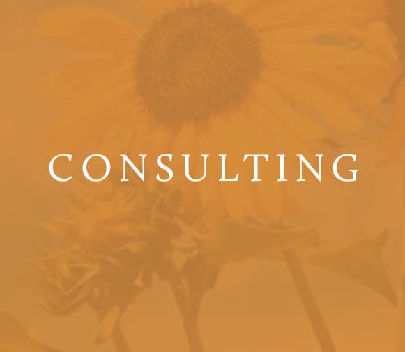 consulting_block